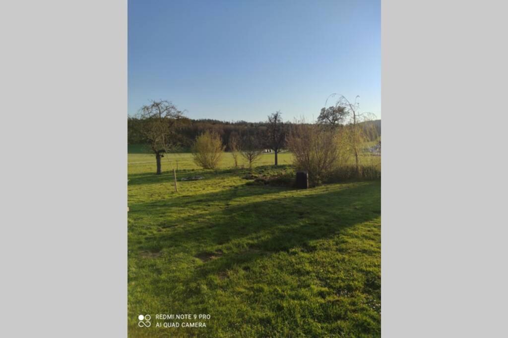 Schoene Helle Ferienwohnung In Waldnaehe برشينغ المظهر الخارجي الصورة