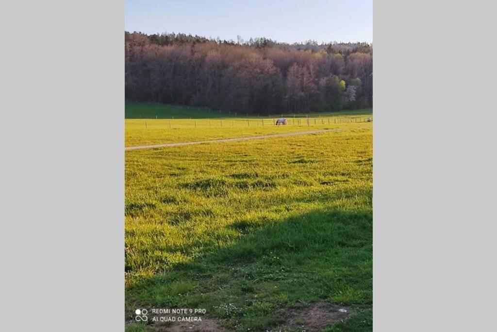 Schoene Helle Ferienwohnung In Waldnaehe برشينغ المظهر الخارجي الصورة